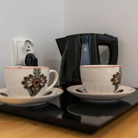 Mountain Centrum ホームステイ ザコパネ