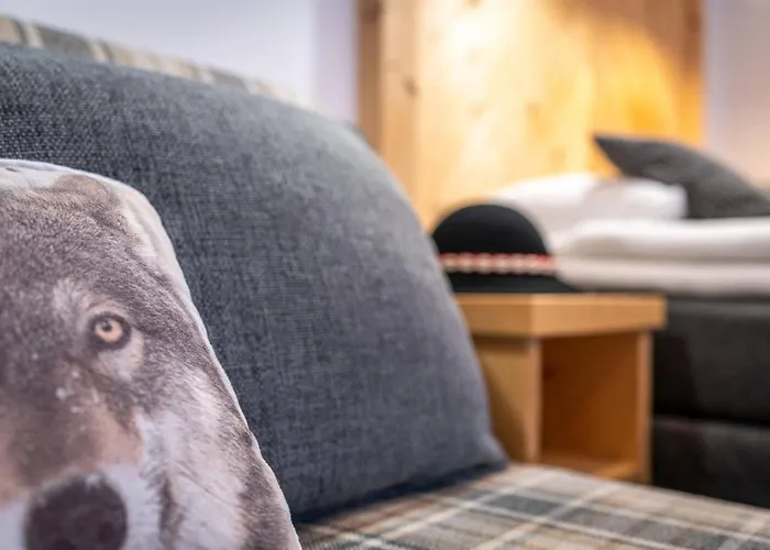 Mountain Centrum زاكوباني